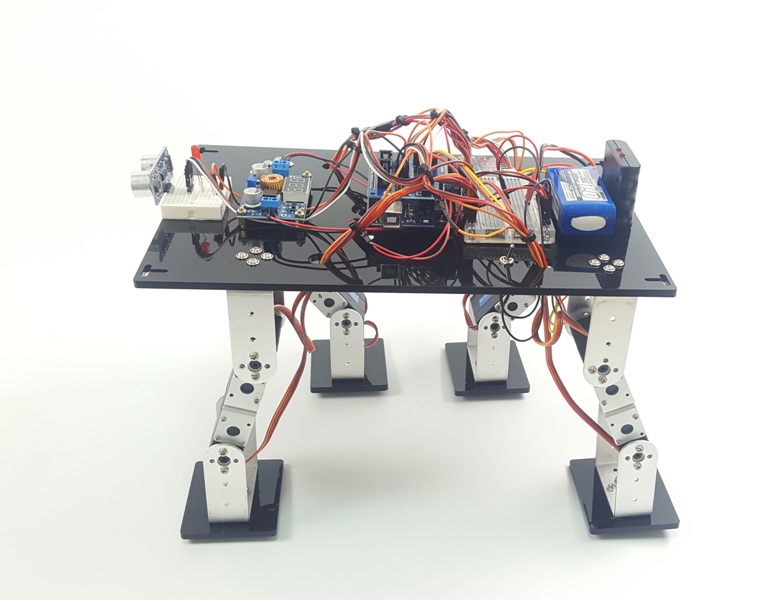 ���� �κ�  Bear Robot